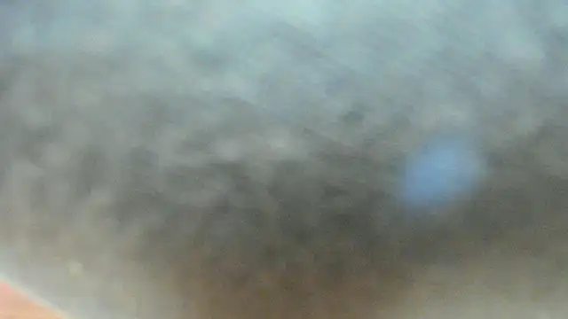 Squirtlady38 webcam