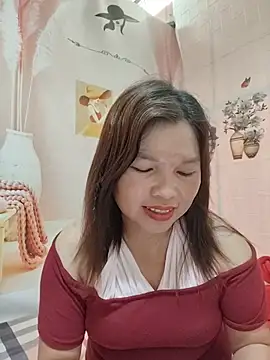 Cover-baa webcam