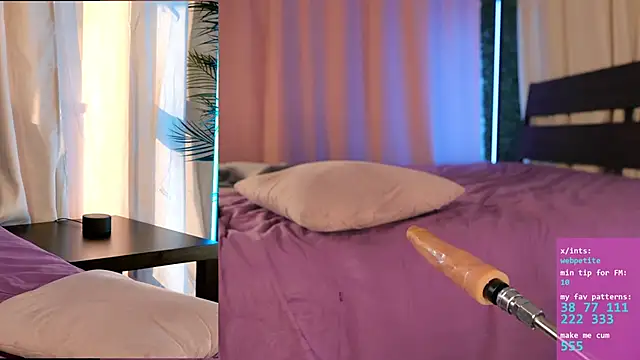 webpetite webcam