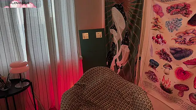 Hippieaura webcam