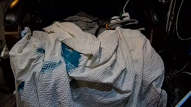 ctguybj webcam