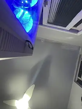 Sanicrt webcam