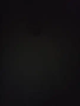 Nidge251 webcam