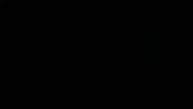 Nash_fit18 live cam