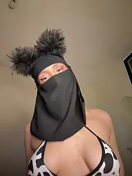 arabayla webcam