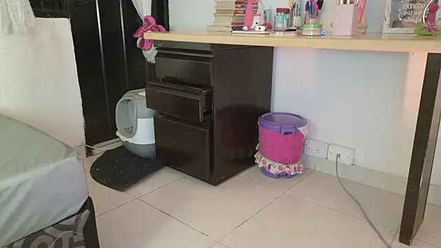 eva_sin18
