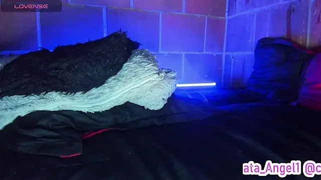 Cata-angel webcam