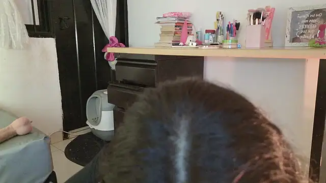 eva_sin18
