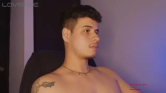 BjornSteel webcam