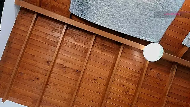 SilvaBranko webcam