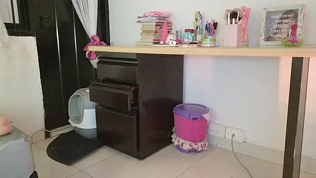 eva_sin18 webcam