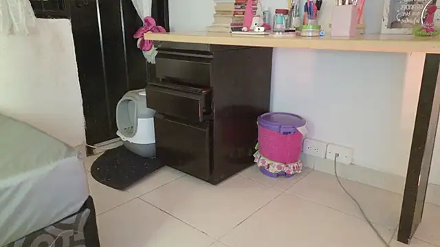 eva_sin18 webcam