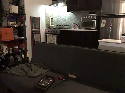 littyleesh1 webcam