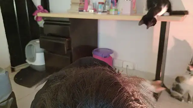 eva_sin18 webcam