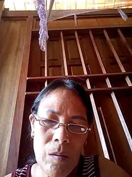 toyo_668 webcam