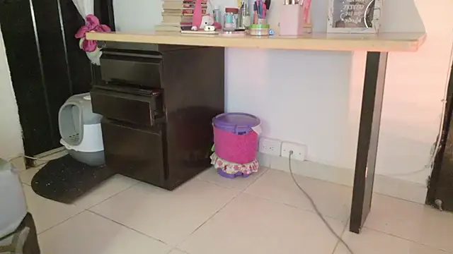 eva_sin18 webcam