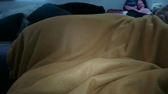 0815lukas2024 webcam