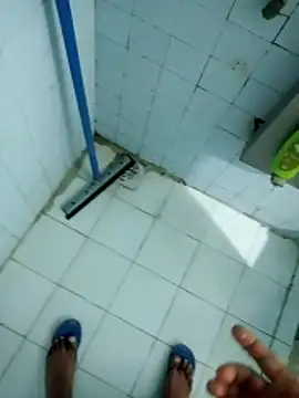 ParlousCarpet webcam