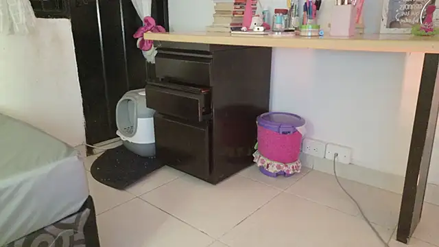 eva_sin18 webcam