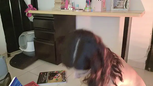 eva_sin18 webcam