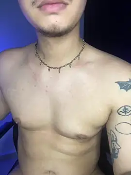 BjornSteel webcam