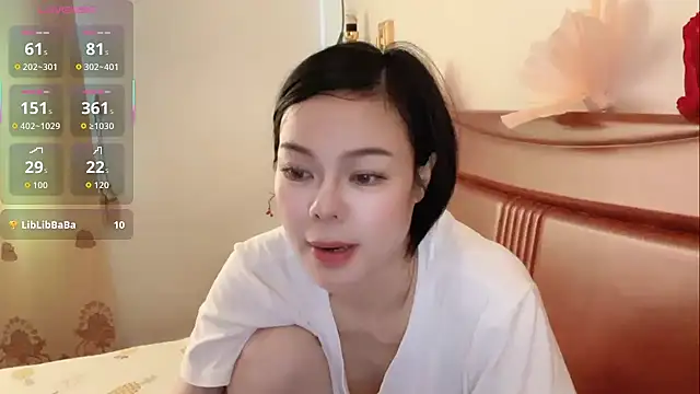Linda-LL webcam