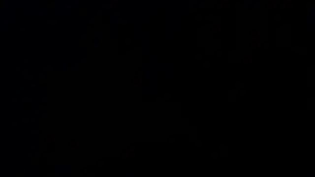 Damian64420 webcam