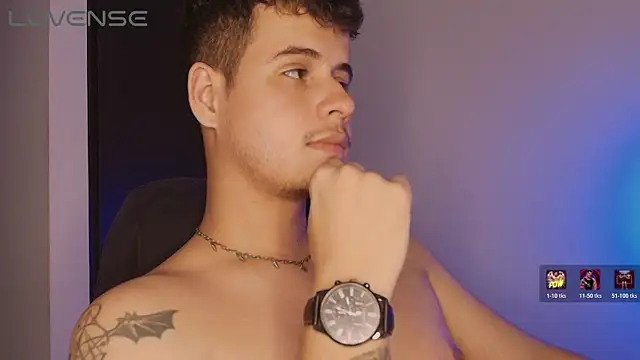 BjornSteel webcam
