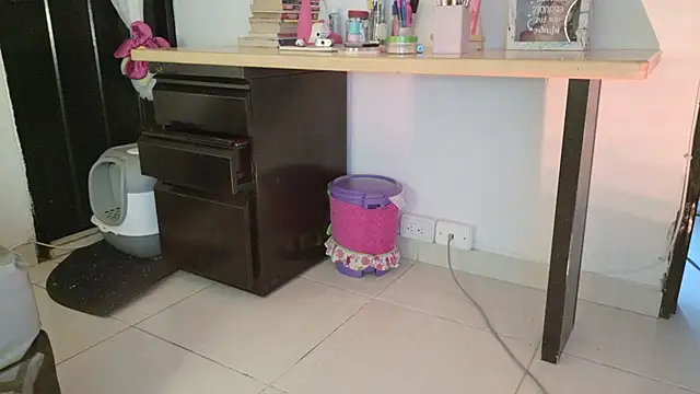 eva_sin18 webcam