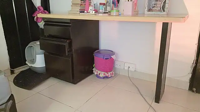 eva_sin18 webcam