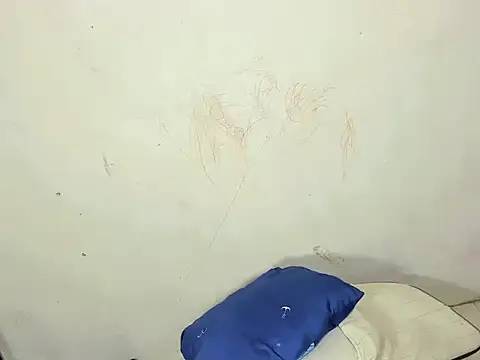 Yachirruu webcam