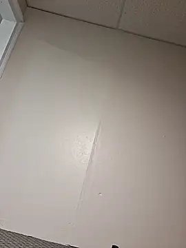 lowhangingdick22 webcam