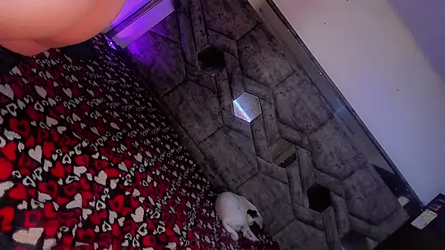 sex_stardollsex webcam