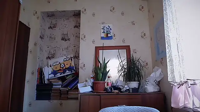 dream_alexa webcam