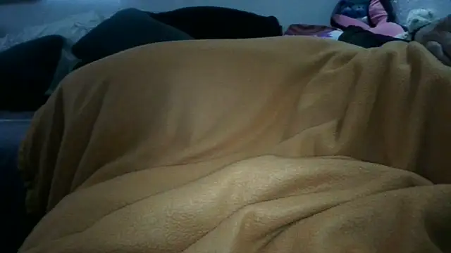 0815lukas2024 webcam