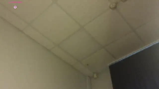 TonyaMeow webcam