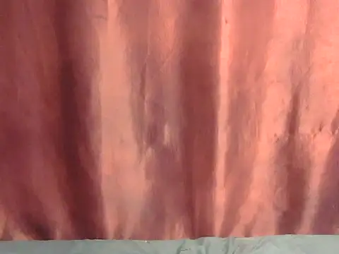 Black_berrry webcam
