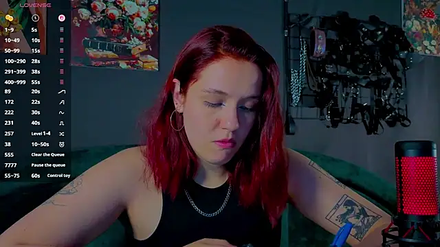 Serve_to_Alexa webcam
