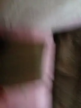 Hellentrans24 webcam