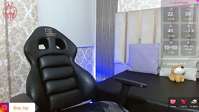 Brac_tay webcam