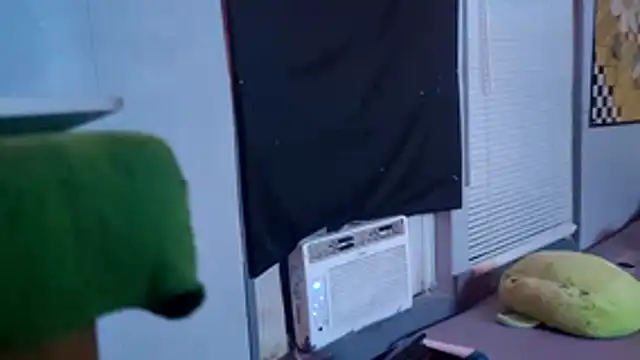 LordSpunFun webcam