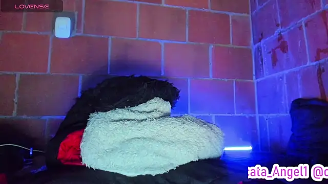 Cata-angel webcam