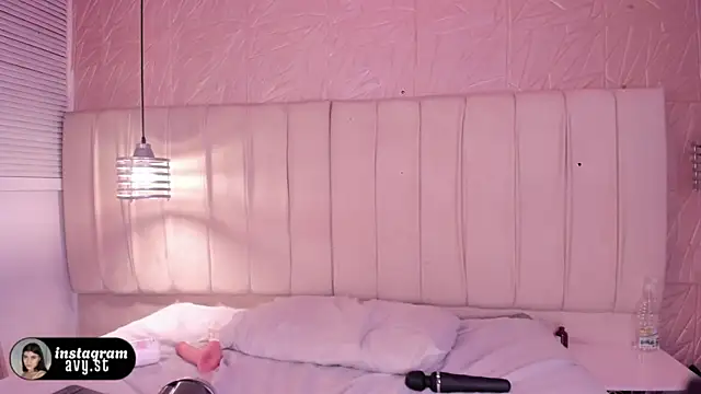avy_st webcam