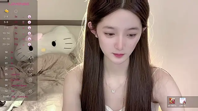 UU-1314 webcam