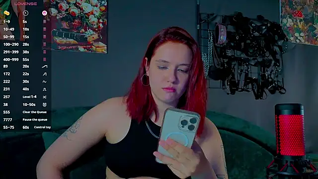 Serve_to_Alexa webcam