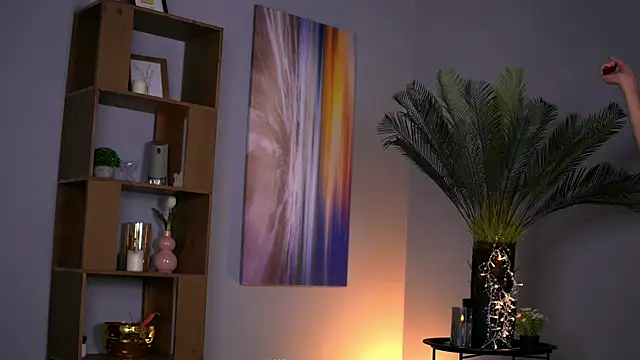 SkylerAura webcam
