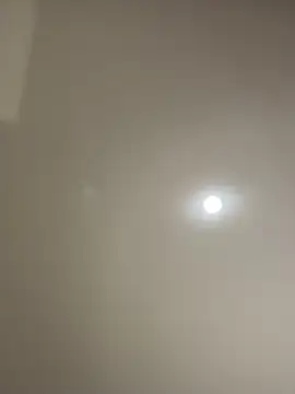 MichelleFerry_ webcam