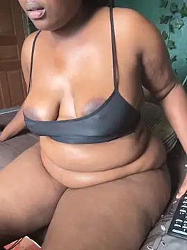 Sollybunny webcam