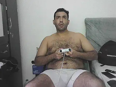 IronSideBear webcam