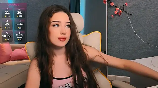 noonespyed webcam